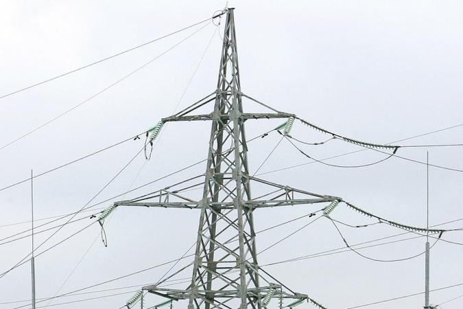 VSD susisiekė su elektros tiltą kritikuojančia moterimi iš Rudaminos