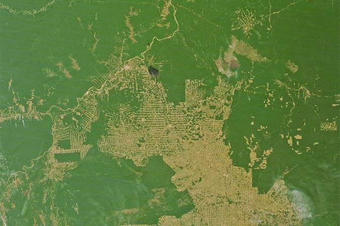 Amazonės miškuose rasta „nepaliesta“ gentis