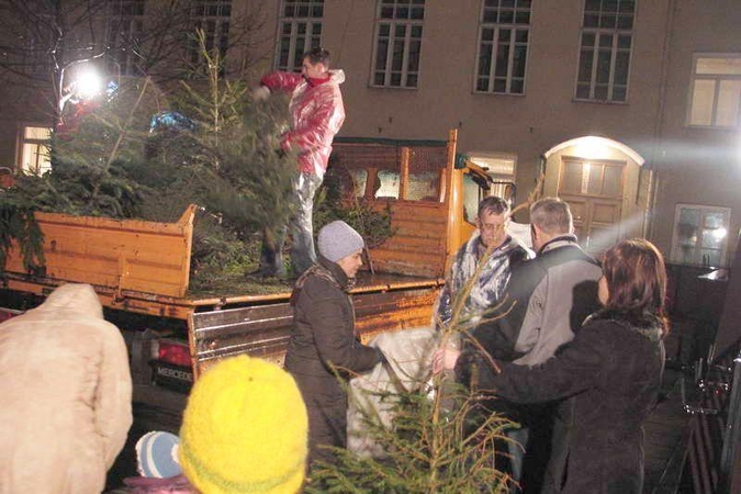 Laukia smagios Kalėdų eglučių išlydėtuvės