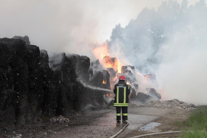 Aplinkosaugininkai aiškinasi gaisro Dumpiuose padarytos žalos dydį
