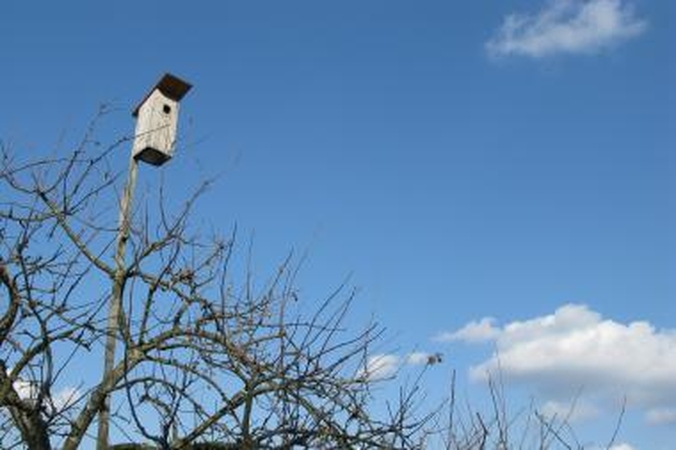 Orai: šalti, neprognozuojami, su krituliais