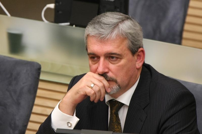Seimo vicepirmininko posto E.Tamašauskui siūlyti neskubama