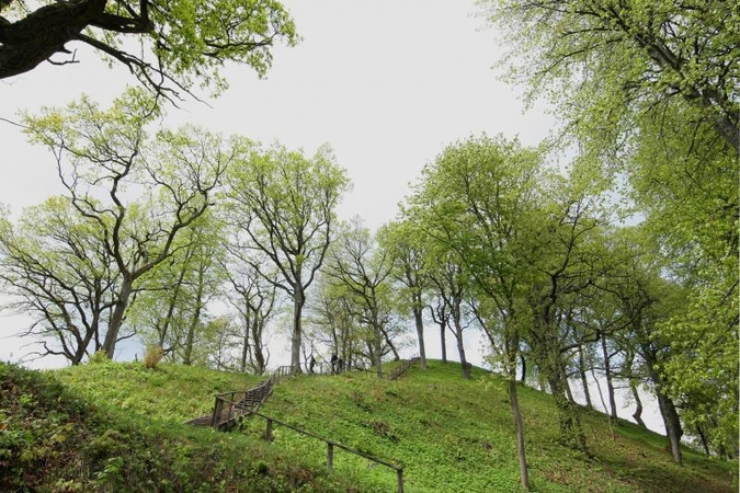 Šveicarų turistams kelia juoką aukščiausia Lietuvos viršukalnė