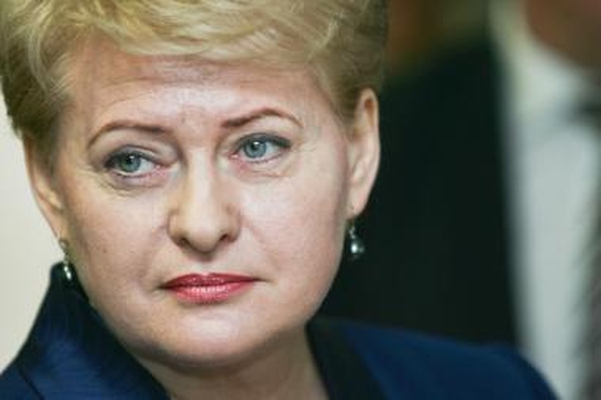 Prezidentė priekaištauja blogai dirbantiems pareigūnams 