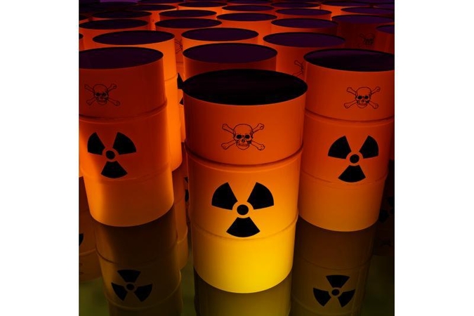 Japonija turi siekti atsisakyti branduolinės energetikos