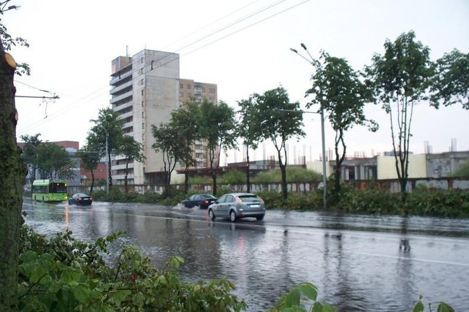Vidurvasarį Savanorių prospekte genimos liepos