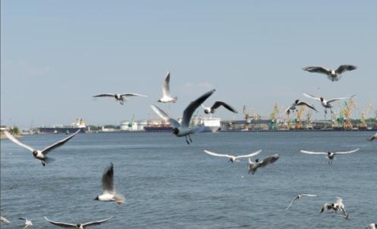 Giliavandenis uostas vėl planuojamas Klaipėdoje?