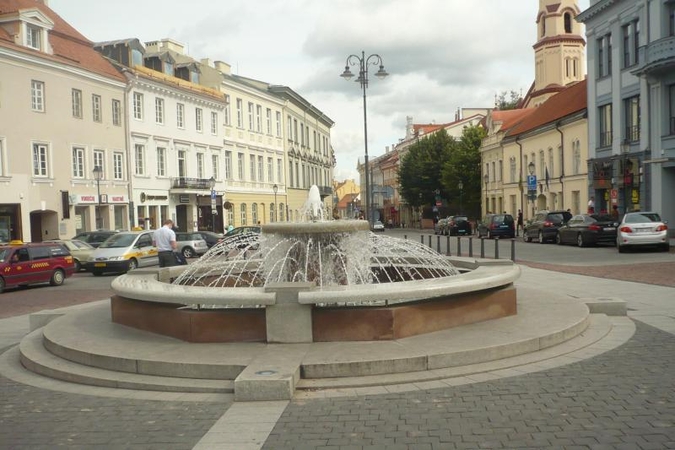 R.Bitinas iš paveldosaugininkų vadovo pareigų atleistas teisėtai