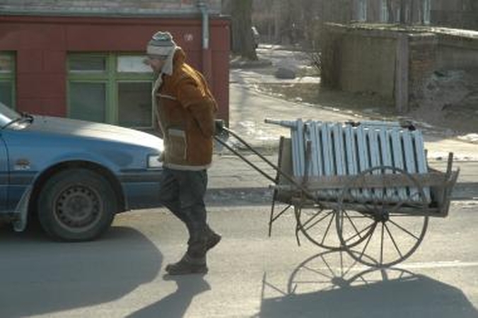 Benamiai šalčių dar nepajuto