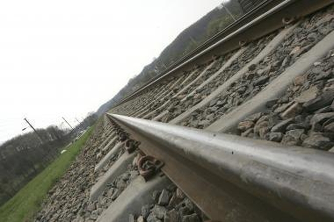 Pavogta pusantro šimto metrų siaurojo geležinkelio bėgių