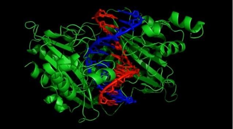 Chemikai mėgdžioja gamtą, sintetindami nanošepetukus