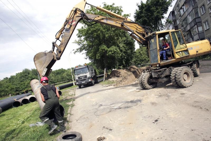 Smuikininkas ir kompozitorius stojo ginti kertamų medžių