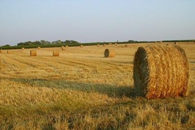 Padegėjai supleškino 10 tonų šiaudų