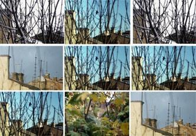 Jaunosios menininkės fotografijų parodoje – kasdienybės metamorfozės