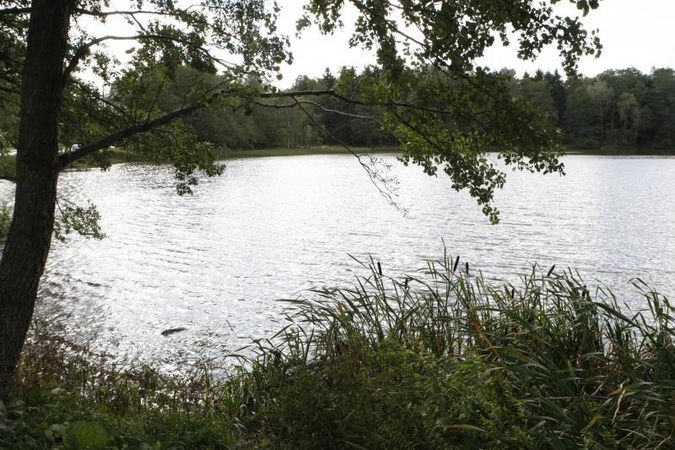 Luokesų ežere archeologai atrado mažiausiai dvi gyvenvietes