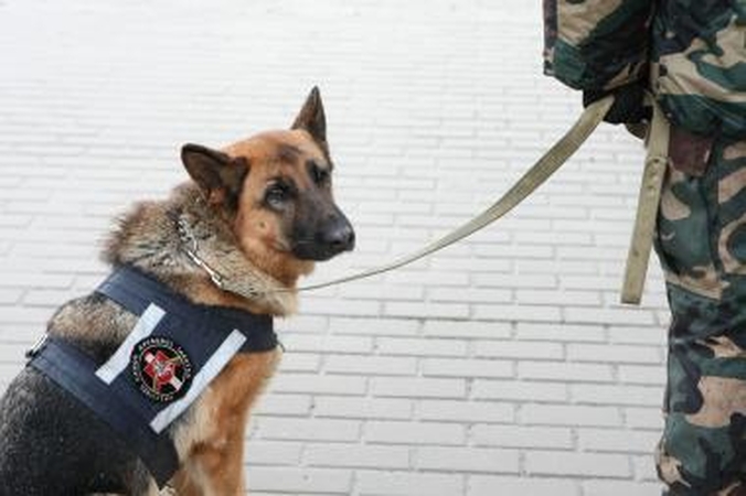 Nuo pasieniečių sprunkantį motociklininką sulaikė šuo