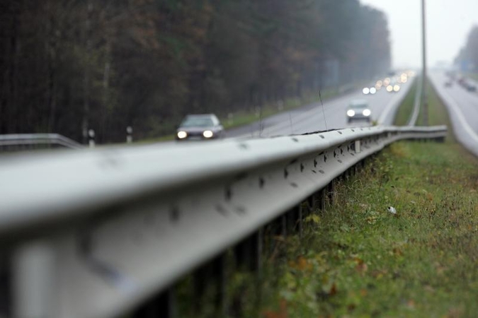 Lietuvos keliai ir autostrados – gyvūnų mėsmalė?