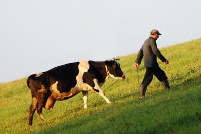 „Agrowill Group“ turi naują valdybos pirmininką
