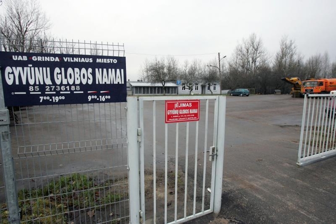 „Grindos“ sanitarai vis dar prisistato gyvūnų globėjais