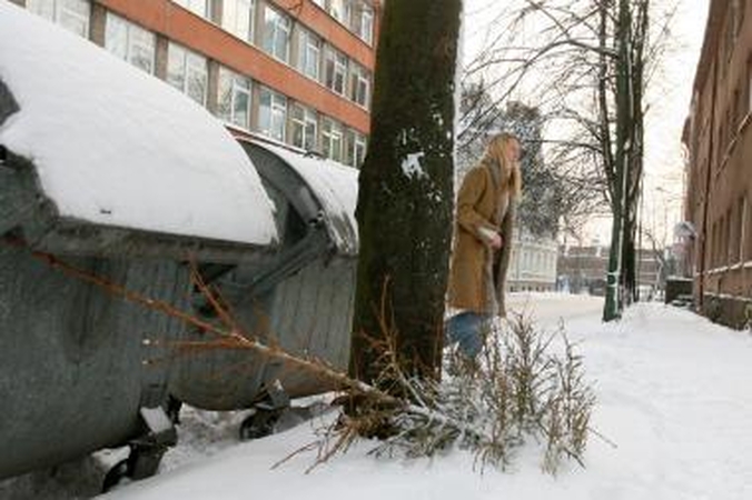 Iš klaipėdiečių eglučių vilniečiai gamins biokurą