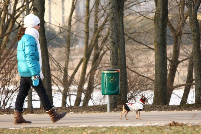 Šunų išmatoms skirtos šiukšliadėžės dar netapo vandalų taikiniu