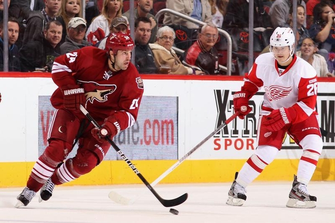 „Red Wings“ NHL čempionate patyrė nesėkmę