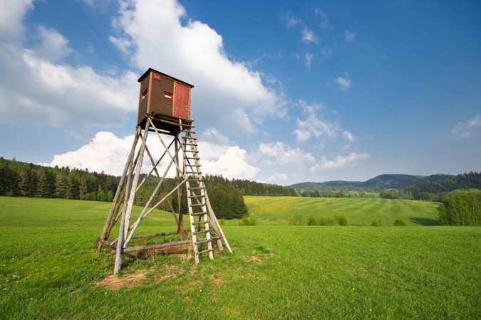 Kodėl pavasarį pleška medžiotojų bokšteliai?
