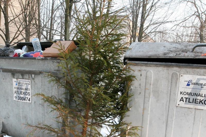 Klaipėdoje bus pastatyti konteineriai eglutėms surinkti