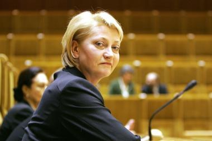 VU Teorinės fizikos ir astronomijos instituto buhalterijoje - pažeidimai