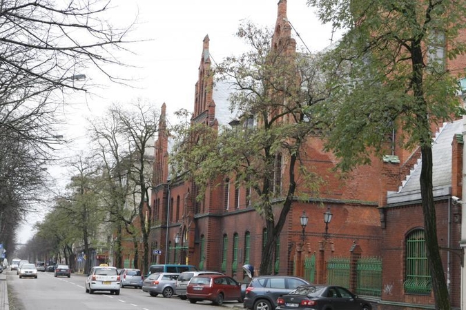 Verdiktas Liepų gatvės liepoms: pjūklų išvengti neįmanoma