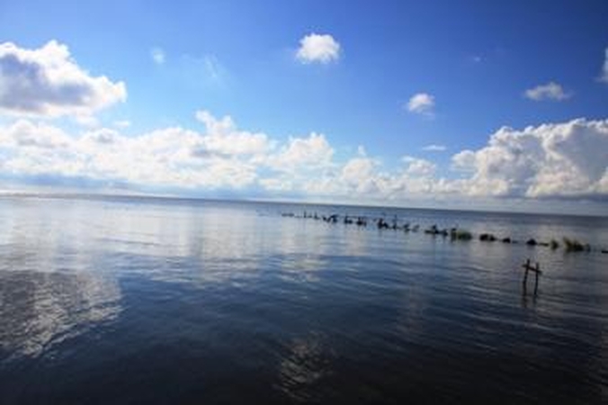 Orų prognozė: kitą savaitę sulauksime lietaus 