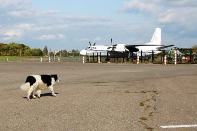 Aleksoto aerodromo direktorius tapo ir valdybos nariu