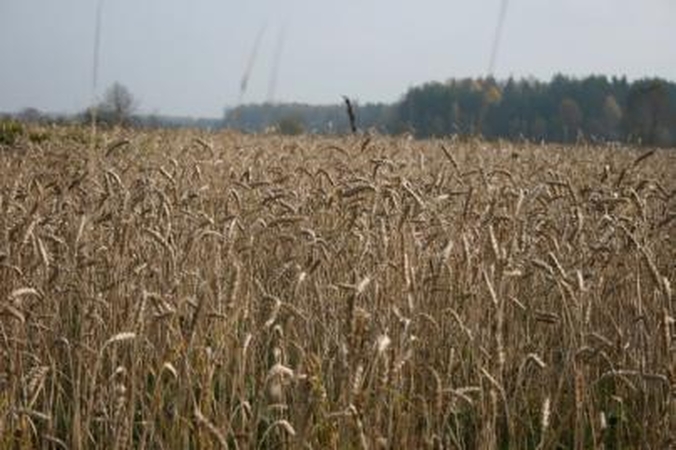"Dojus agro" žengia į Latviją 