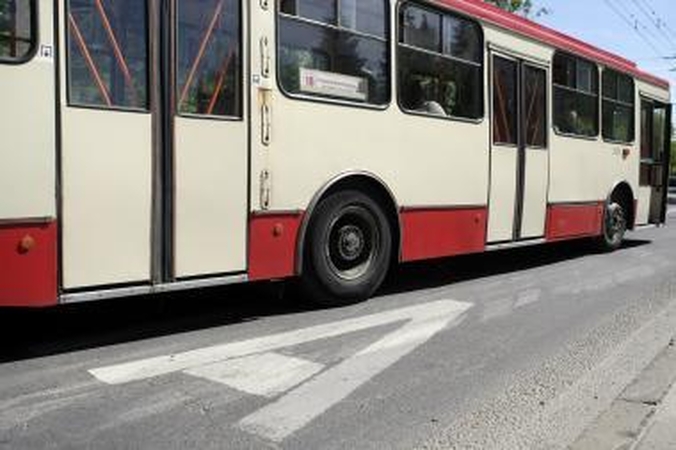 Daugiau negu pusė „zuikių" Vilniuje - jaunimas