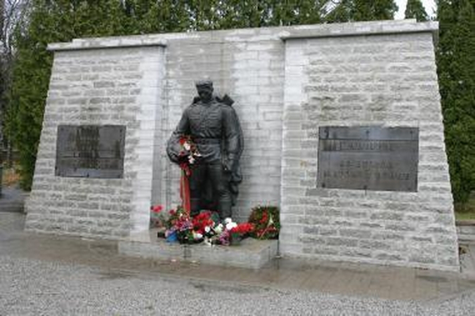 Bronzinis karys vėl kursto aistras