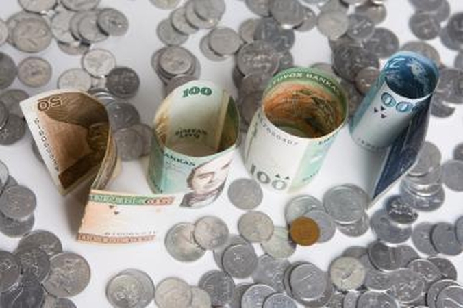 Rajono biudžetas - beveik 173 mln. litų