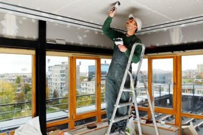 R.Kuodis peikia renovacijos planą 