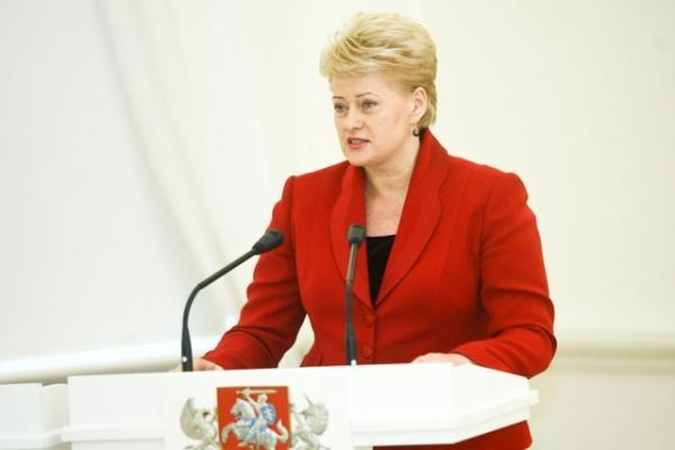 D.Grybauskaitė: Nacionalinės pastangos neįveiks globalių iššūkių internete