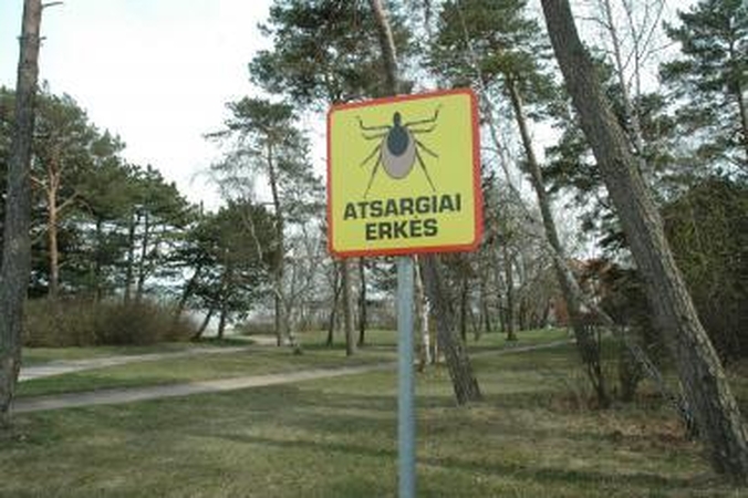 Vilniečiai įspėjami saugotis erkių