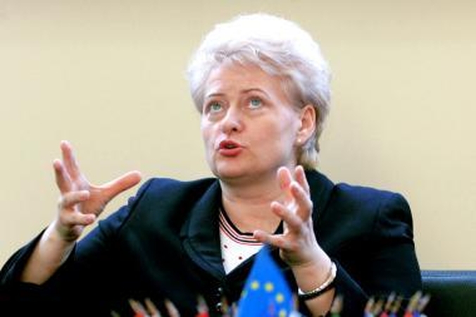 D.Grybauskaitė prakalbo apie ES biudžeto reformą