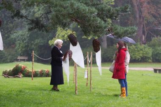 Palangos parke – pušų paieškos