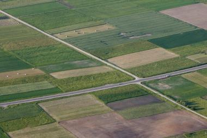 Prezidentės veto dėl žemės valdymo bus svarstomas Seime