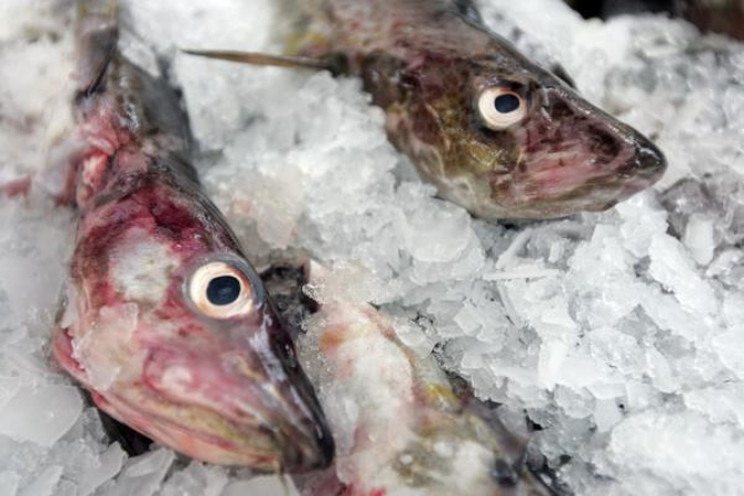 Norvegijos "Ervik Fisk" pasiūlys šaldytos žuvies 