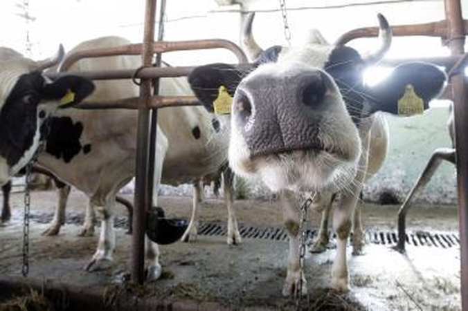 Nauji mokesčiai ūkininkams: kiek ir už ką?