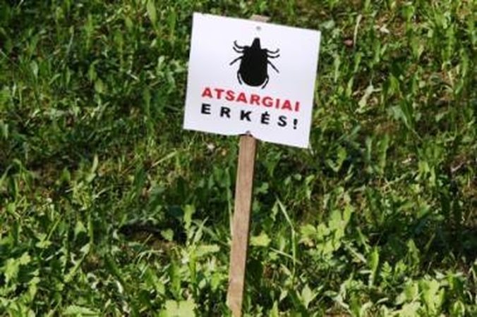 Erkės jau pabudo – saugokimės!