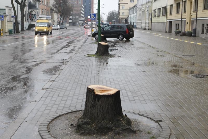 Liepų    gatvė   liko  be liepų alėjos  