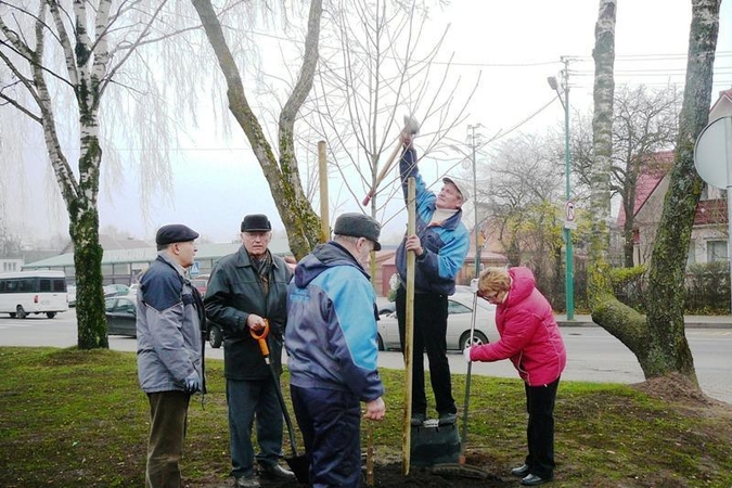 Vandalams užkliuvo Virbališkės take ką tik pasodinti šermukšniai