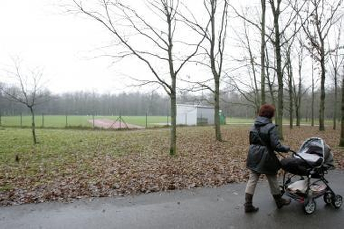 Kauno ąžuolyną skaldo sklypais. Ar jų neužstatys?