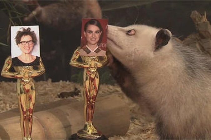 Oposumė Heidi „Oskarą“ prognozuoja aktorei N.Portman