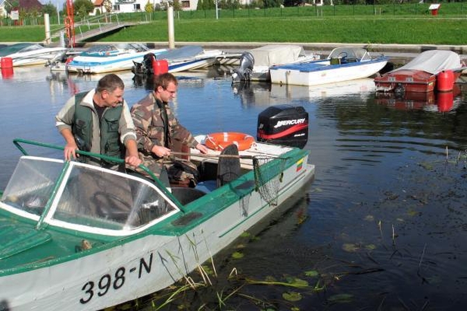 Šilutės uostas pilnas žuvų gaišenų